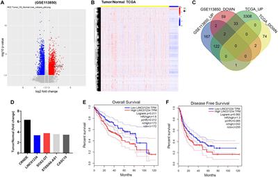 Knockdown of lncRNA LINC01234 Suppresses the Tumorigenesis of Liver Cancer via Sponging miR-513a-5p